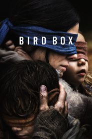 Bird Box {Hindi Subtitles}
